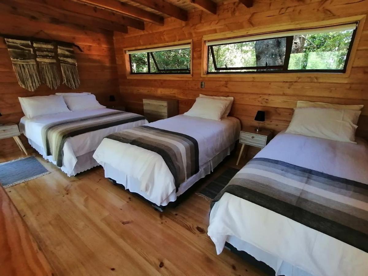 Loft Arrayan Apartamento Pucón
